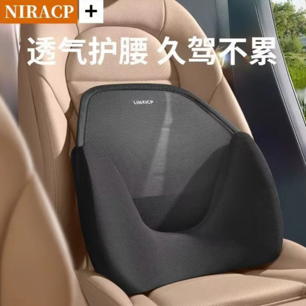 High Quality Back Support With Net